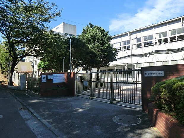 小学校 880m 横浜市立上菅田笹の丘小学校
