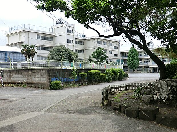 小学校 600m 町田市立忠生第三小学校