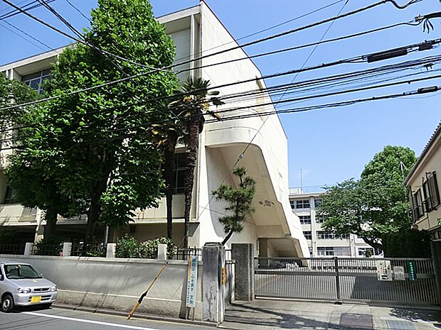 小学校 584m 八王子市立第一小学校