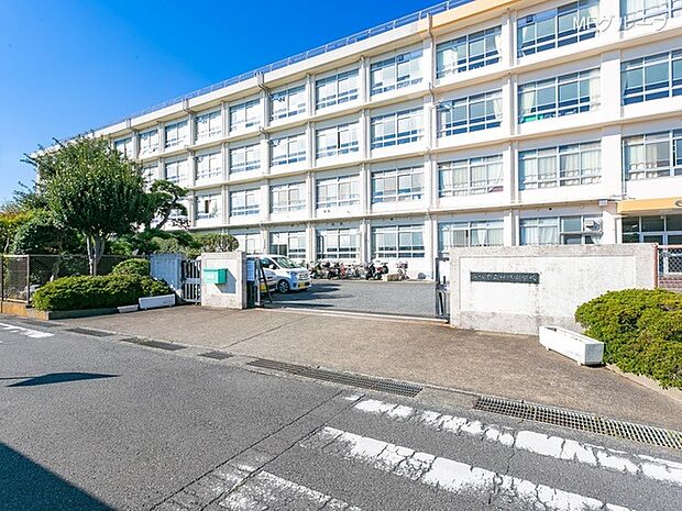 中学校 500m 平塚市立神明中学校