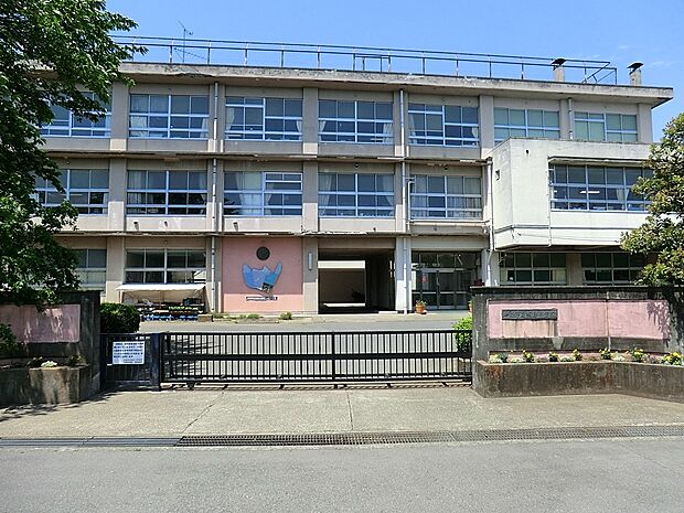 小学校 300m 平塚市立城島小学校