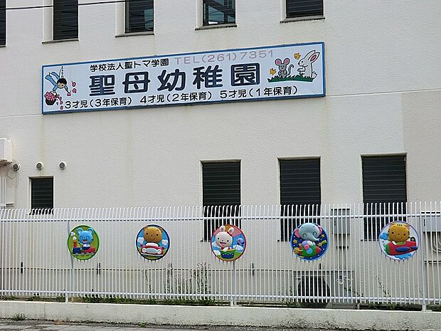 幼稚園・保育園 500m 聖母幼稚園