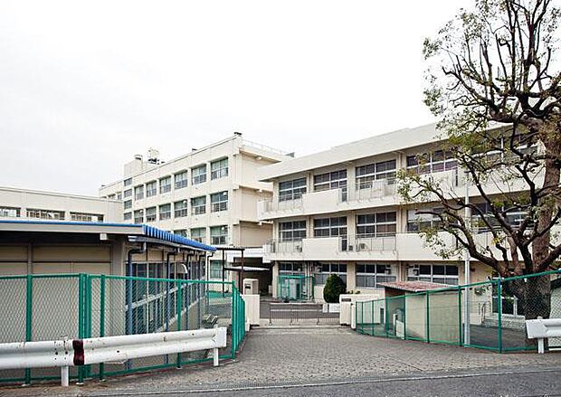 中学校 190m 横浜市立東野中学校