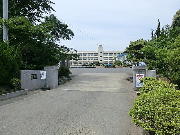 小学校 700m 三浦市立初声小学校