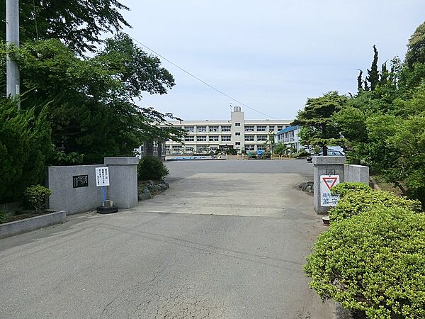 小学校 700m 三浦市立初声小学校