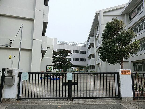 小学校 350m 横浜市立小田小学校