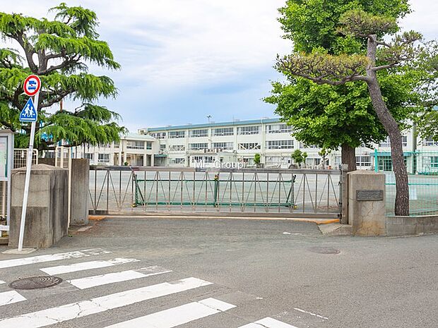 小学校 880m 茅ヶ崎市立松林小学校