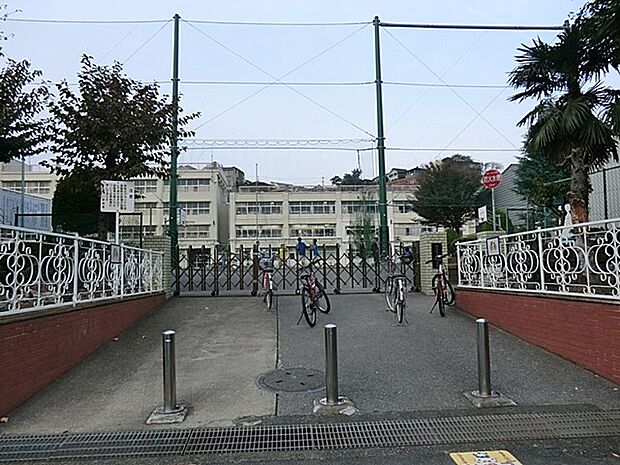 小学校 900m 横浜市立峯小学校