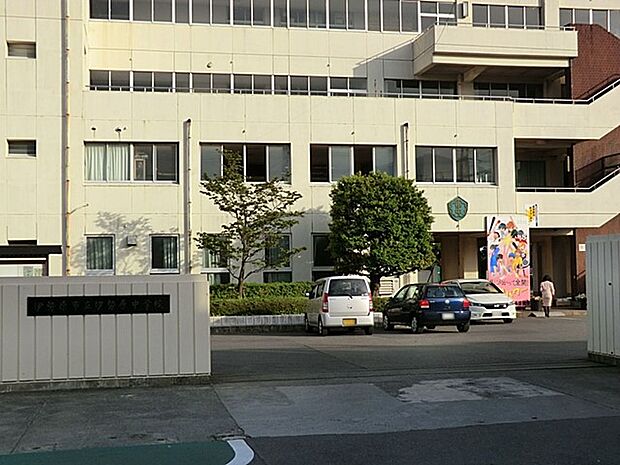 中学校 800m 伊勢原市立伊勢原中学校