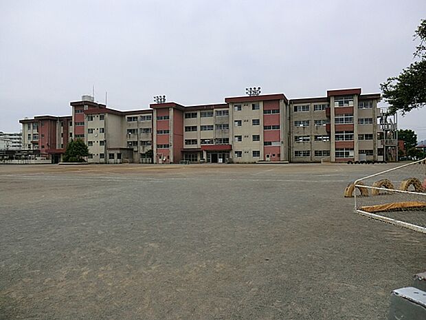 小学校 710m 八王子市立清水小学校