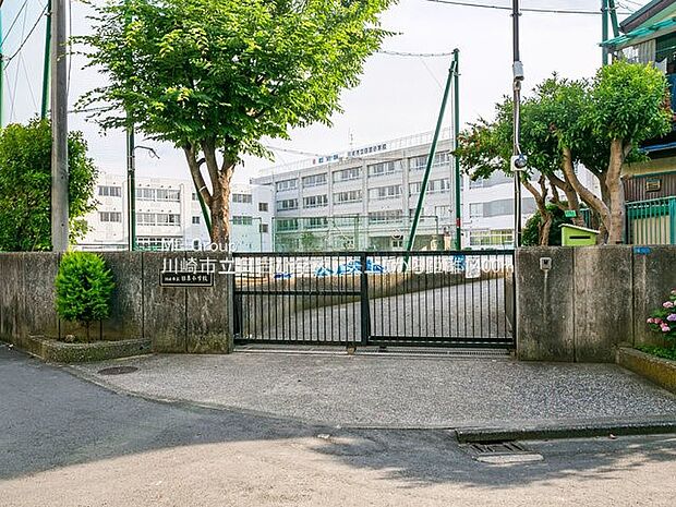 小学校 550m 川崎市立日吉小学校
