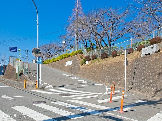 中学校 1790m 伊勢原市立成瀬中学校