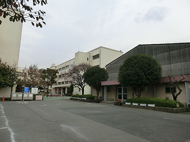 小学校 550m 横浜市立洋光台第四小学校