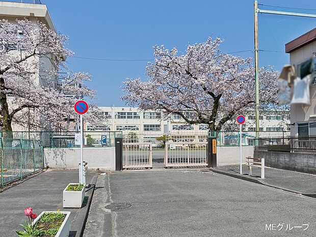 小学校 400m 八王子市立第五小学校