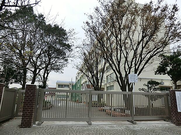 小学校 300m 横浜市立洋光台第三小学校