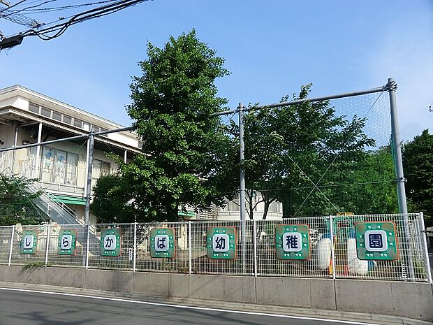 幼稚園・保育園 1000m しらかば幼稚園