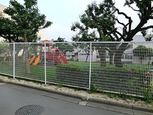 幼稚園・保育園 800m 国立冨士見台幼稚園