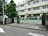 周辺：小学校 350m 川崎市立向小学校