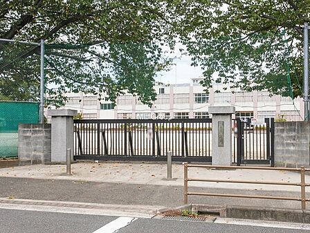 小学校 550m 大和市立桜丘小学校