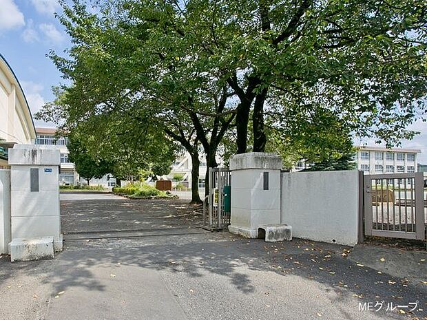 小学校 922m 八王子市立第九小学校