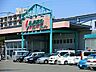 周辺：スーパー 700m しまむらストアー 田村店