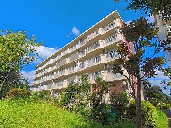 外観：314002871770