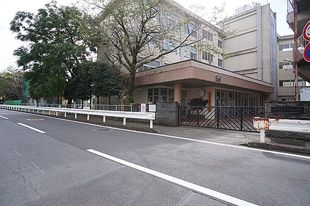 小学校 750m 小田原市立町田小学校