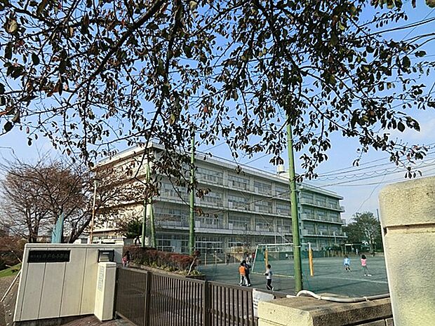 小学校 1000m 横浜市立平戸台小学校