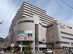 「セルバ 甲南山手」