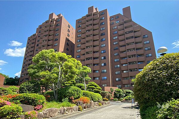 外観：328000645823