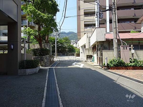 敷地西側の前面道路