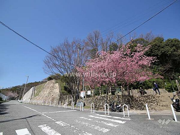 灘丸山公園の外観