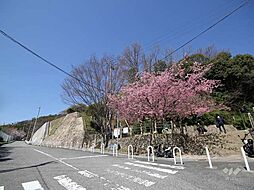 「灘丸山公園」徒歩9分!