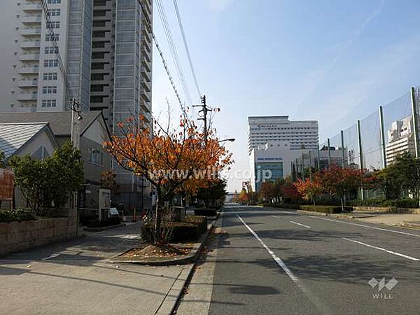 敷地北側の前面道路