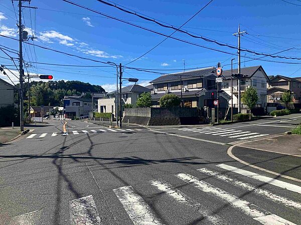 南側前面道路より