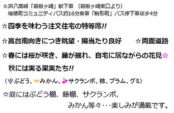 おすすめポイント