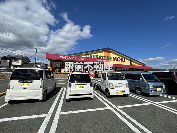 ドラッグストアモリ広川店