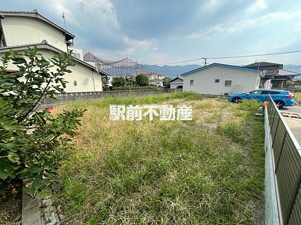 3号地