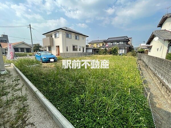 3号地