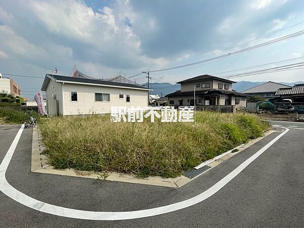 6号地