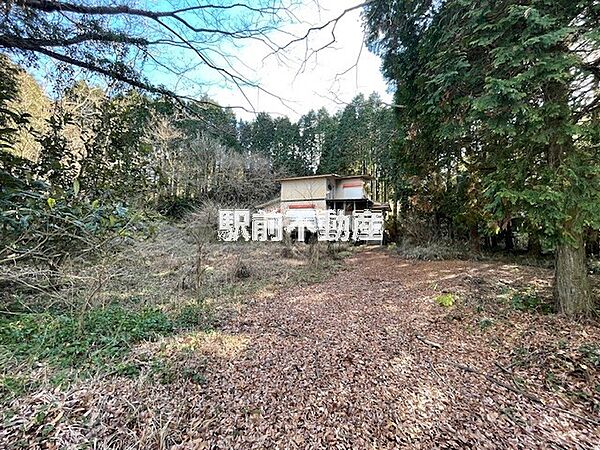 その他現地