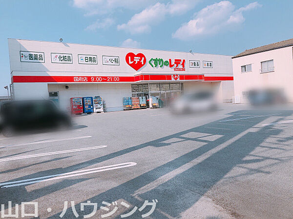 画像27:くすりのレデイ国府店 970m