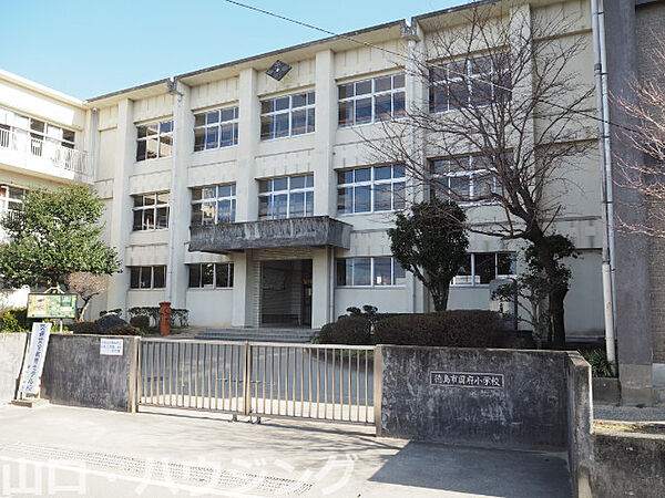 画像21:徳島市立国府小学校 60m