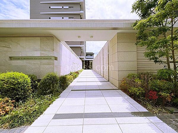 手入れされた植栽を配置し、景観に潤いを与えるデザインのエントランスアプローチです！