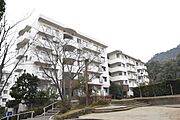 UR都市機構若山台第4団地15号棟 3階 築37年10ヶ月の賃貸物件