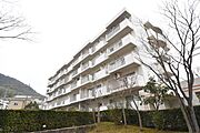 ＵＲ都市機構若山台第４団地１７号棟の賃貸物件
