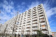 ＵＲ都市機構住吉団地１号棟 11階 築58年5ヶ月の賃貸物件