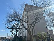 ＵＲ都市機構寝屋川団地Ｃ—２９棟 3階 築53年8ヶ月の賃貸物件