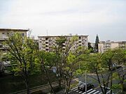 ＵＲ都市機構香里ケ丘Ｄ地区団地Ｄ—１９棟 1階 築65年の賃貸物件