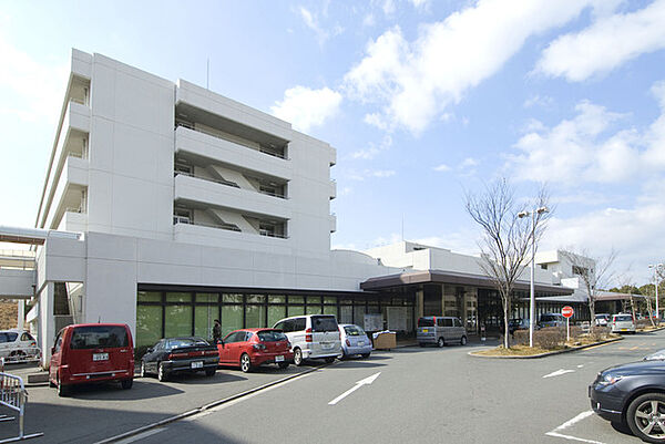 画像11:病院「大阪府立母子保健総合医療センターまで2925ｍ」